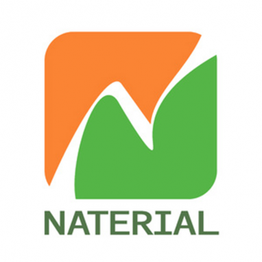 Naterial logo