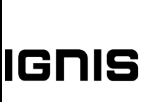 Ingnis logo