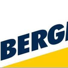 Bergmann logo