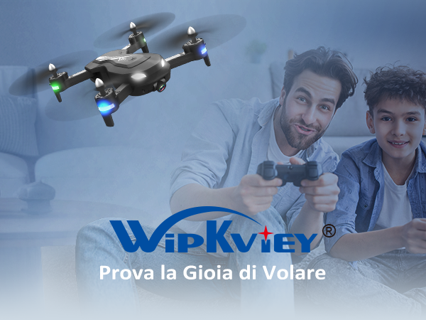 Wipkviey logo