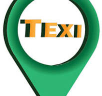 TEXI logo