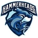 hammerhead logo