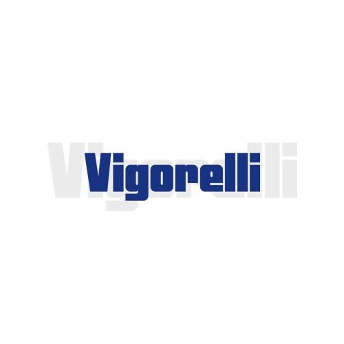 Vigorelli logo