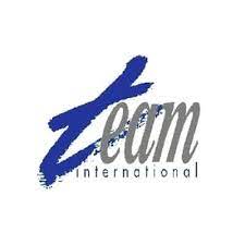 Team international logo