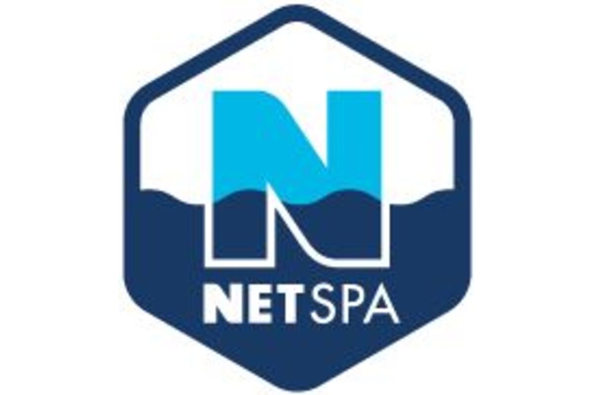 NETSPA logo
