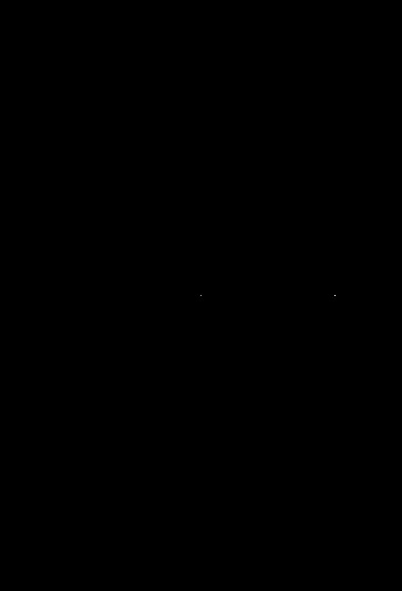 SSJBK 300 B2