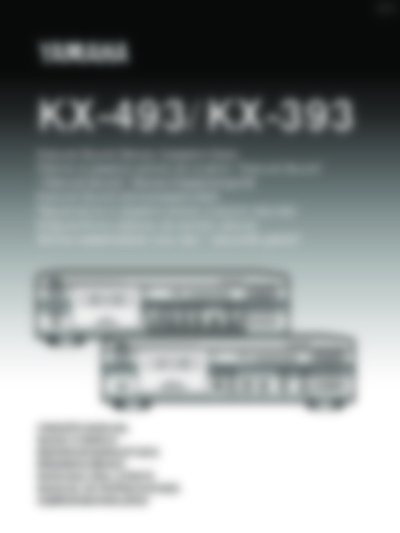KX 393